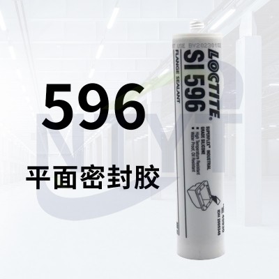596 300ml