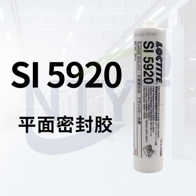SI 5920 300